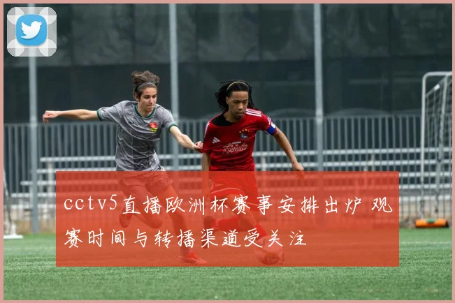 cctv5直播欧洲杯赛事安排出炉 观赛时间与转播渠道受关注