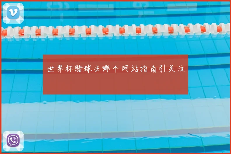 世界杯赌球去哪个网站指南引关注