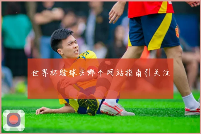 世界杯赌球去哪个网站指南引关注