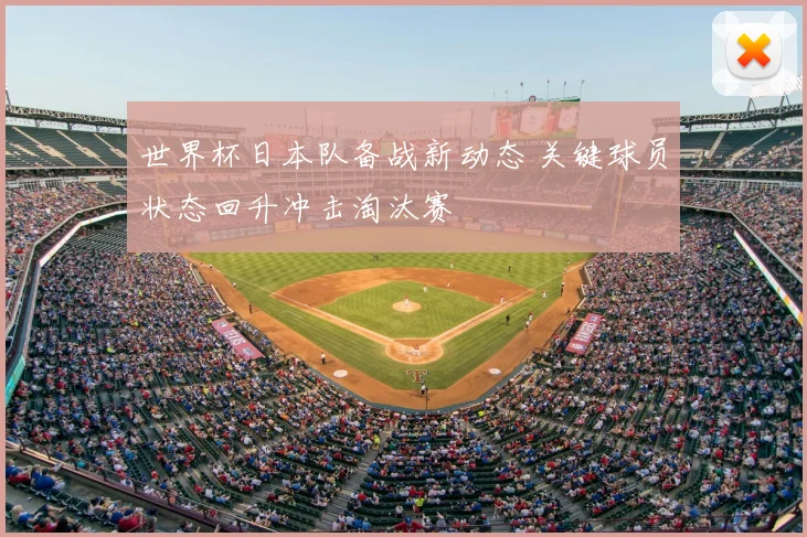 世界杯日本队备战新动态 关键球员状态回升冲击淘汰赛