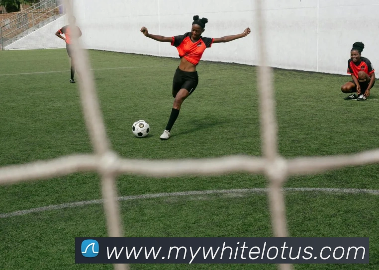 beat365唯一官网发展历程